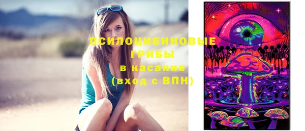 СК Алзамай