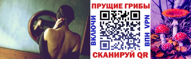 Галлюциногенные грибы мухоморы  где купить наркоту  Питкяранта 